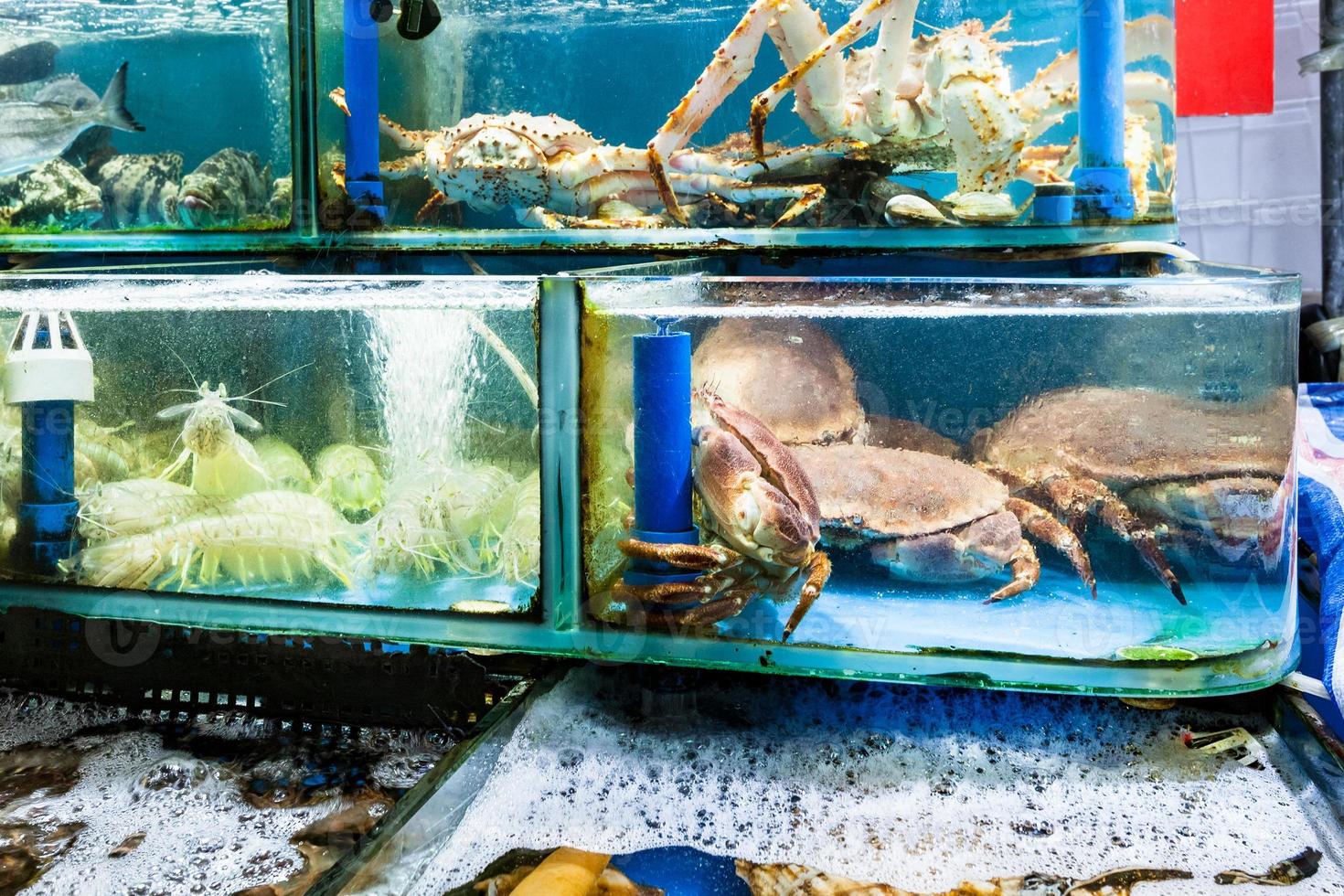 crabes et crevettes au marché aux poissons de la ville de guangzhou photo