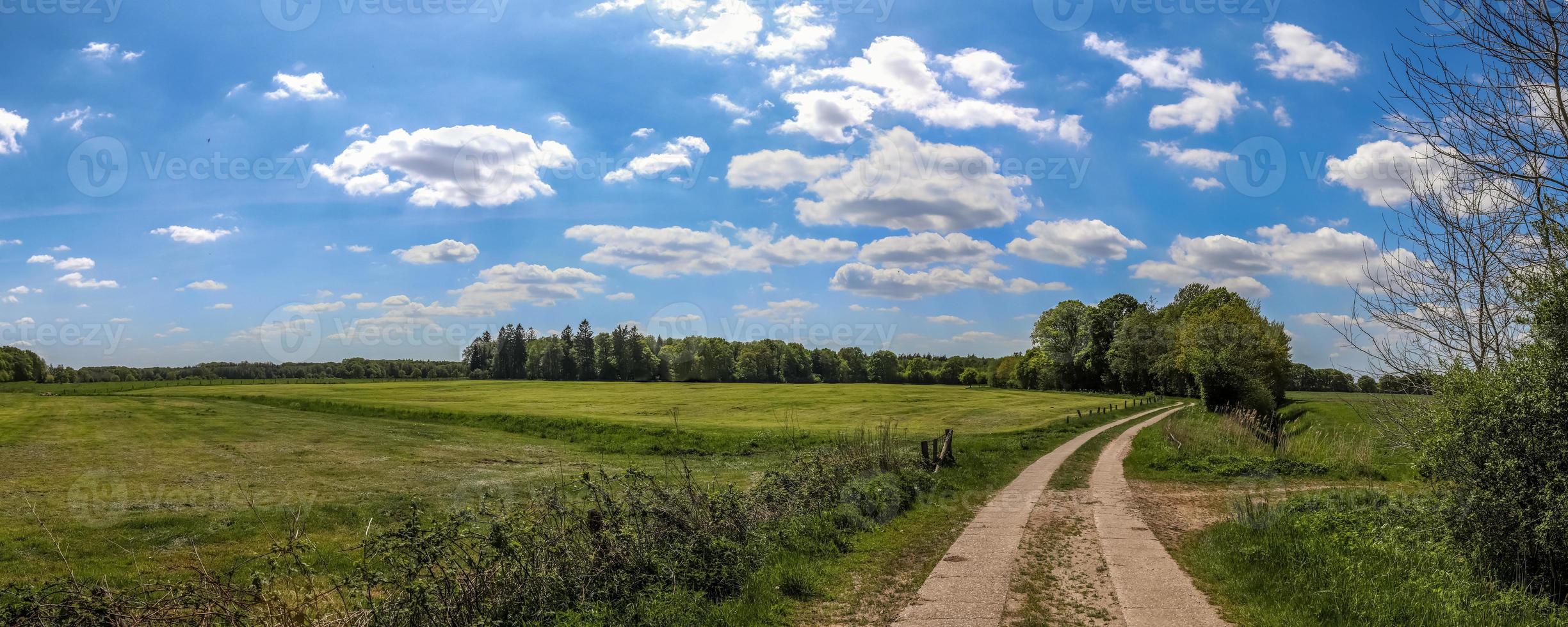 beau panorama haute résolution d'un paysage avec des champs et de l'herbe verte au danemark et en allemagne. photo