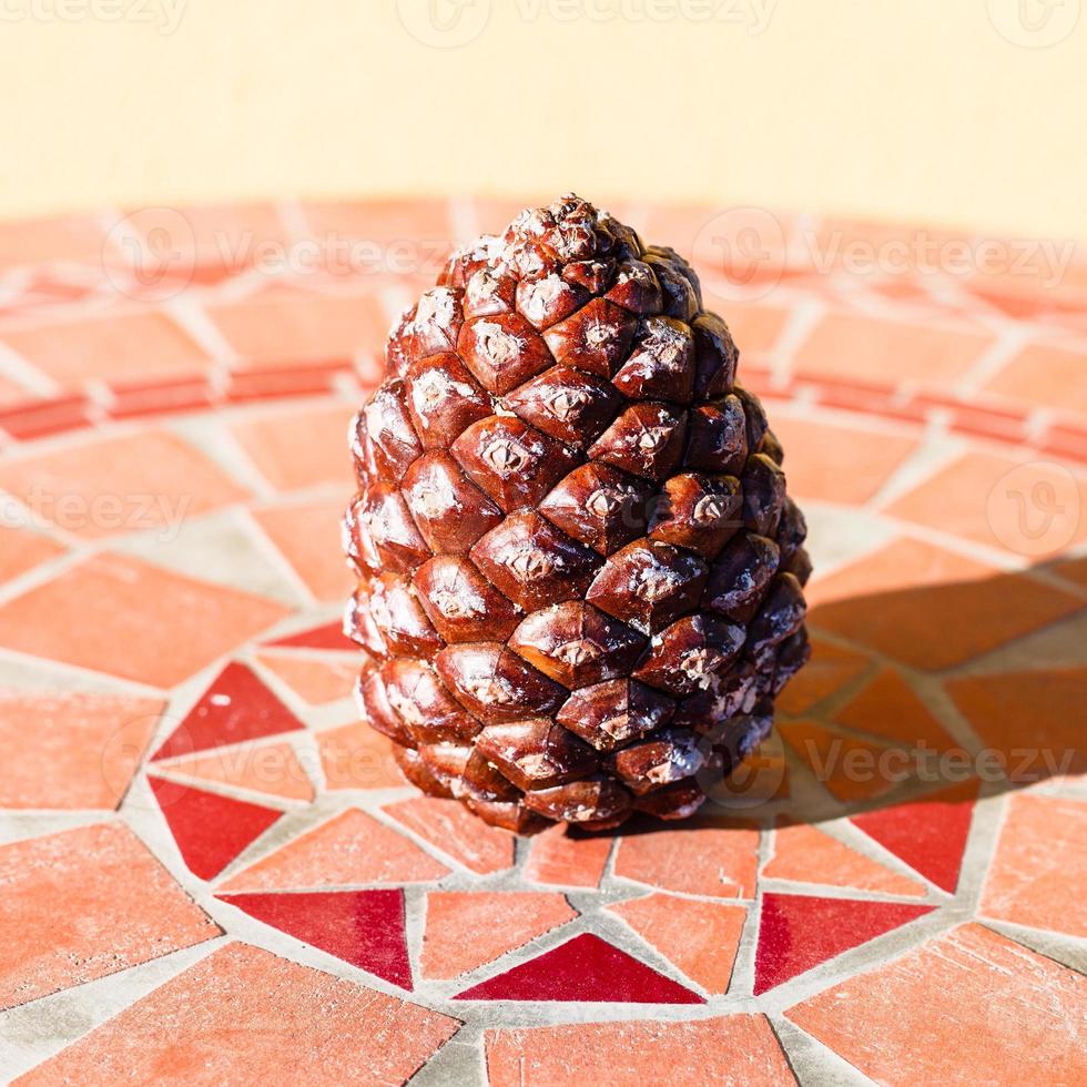 pomme de pin sur table en pierre mosaïque photo