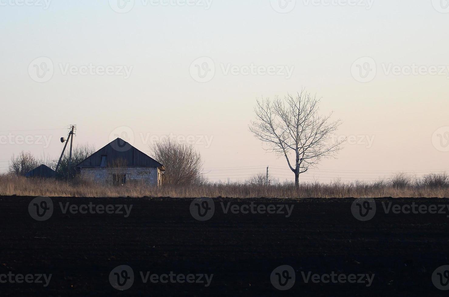 l'aube dans le village. une photo minimaliste avec une ligne d'horizon sur laquelle il y a un immeuble et un arbre