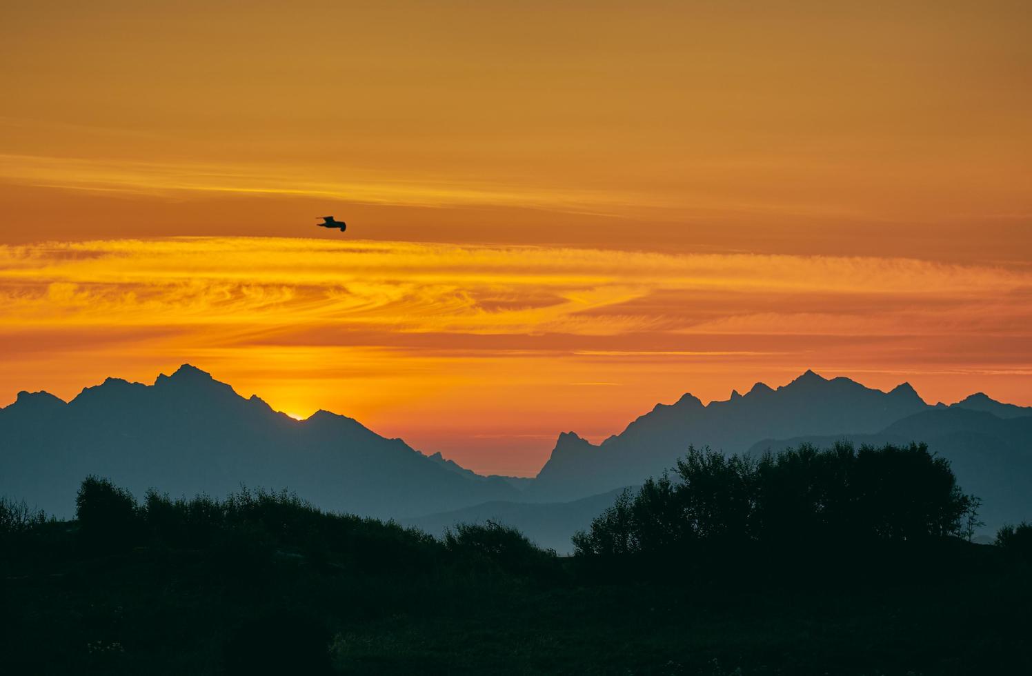 oiseau au-dessus de la chaîne de montagnes photo