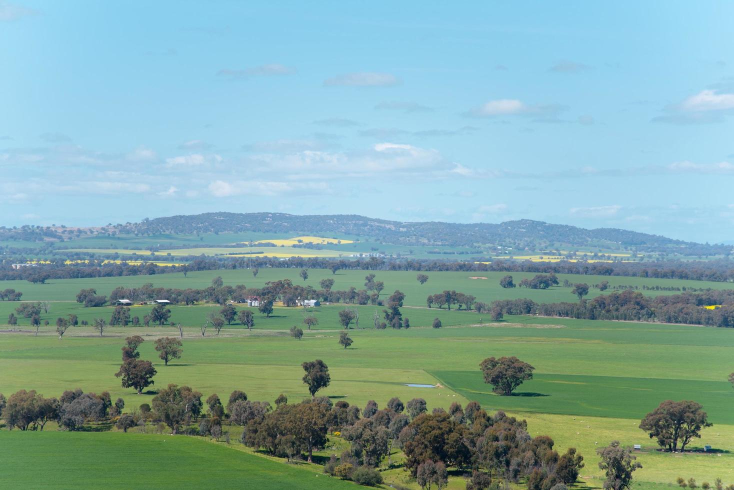Point de vue des zones rurales dans l'Australie régionale de la ville de walla walla photo