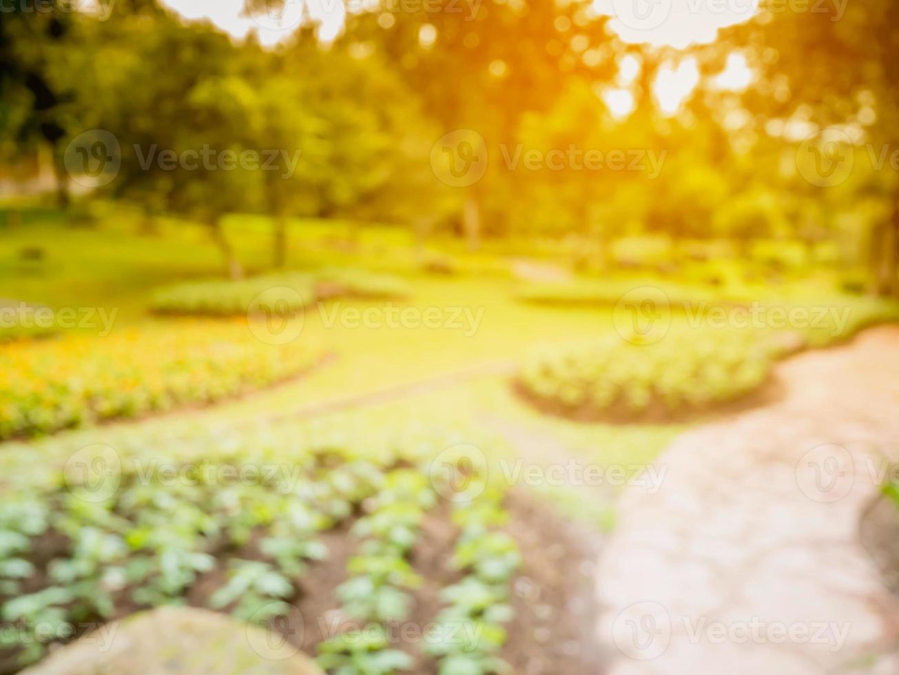 passerelle dans le jardin de fleurs arrière-plan flou photo