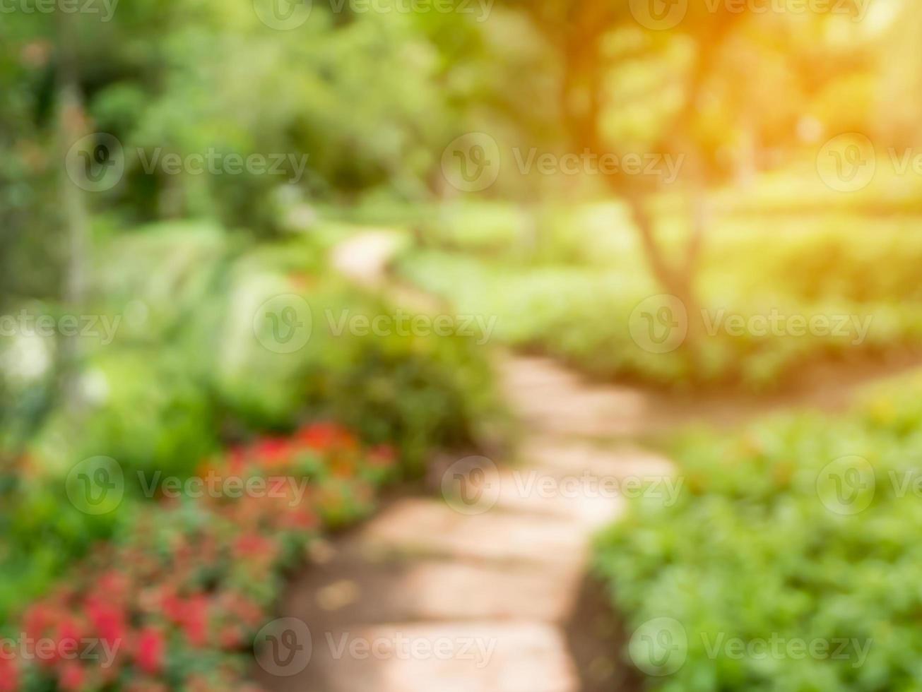 passerelle dans le jardin de fleurs arrière-plan flou photo