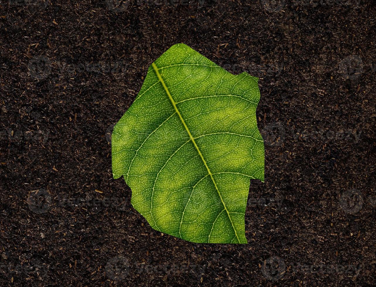 carte eswatini faite de feuilles vertes sur le concept d'écologie de fond de sol photo