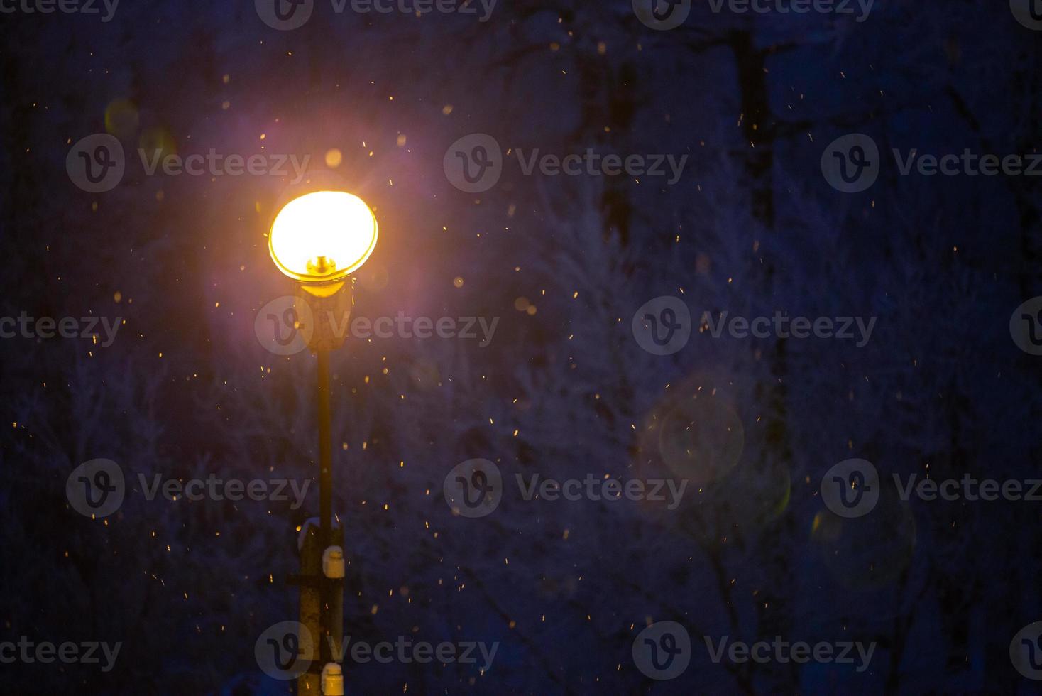 lumière parasite naturelle du réverbère de nuit d'hiver avec mise au point sélective photo