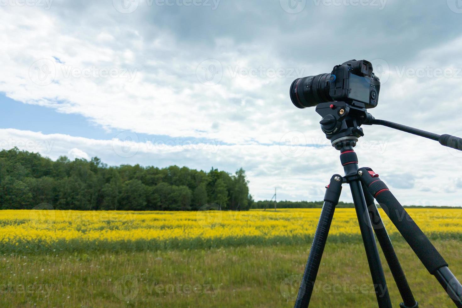 appareil photo sans miroir professionnel moderne sur trépied tirant champ jaune sur trépied, gros plan