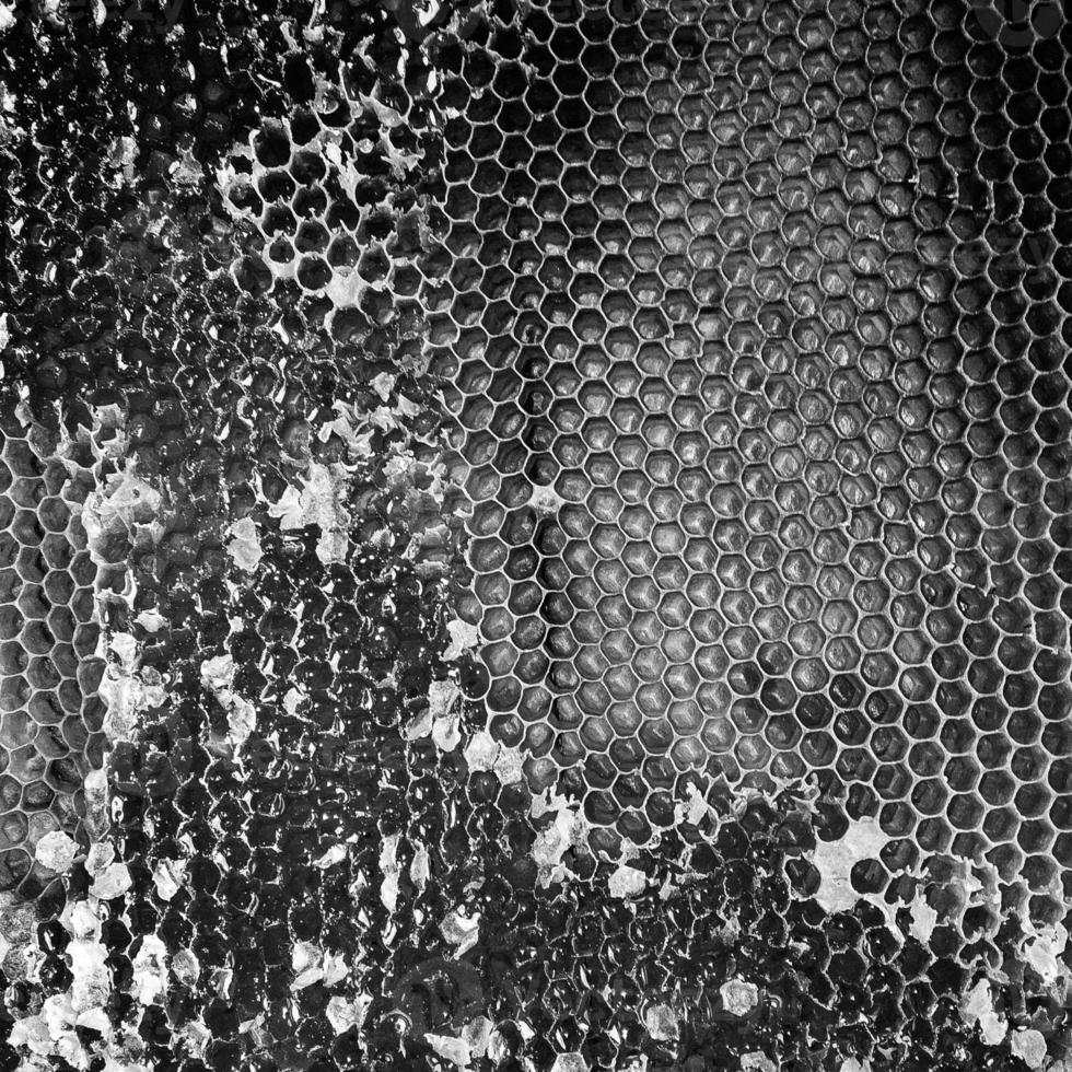 goutte de miel d'abeille goutte de nids d'abeilles hexagonaux photo