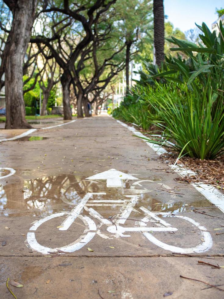 Piste cyclable en béton parmi les plantes vertes photo