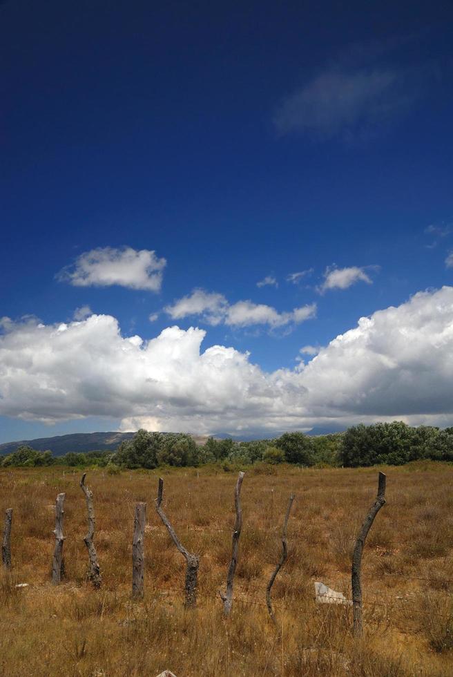 ciel bleu et champ photo