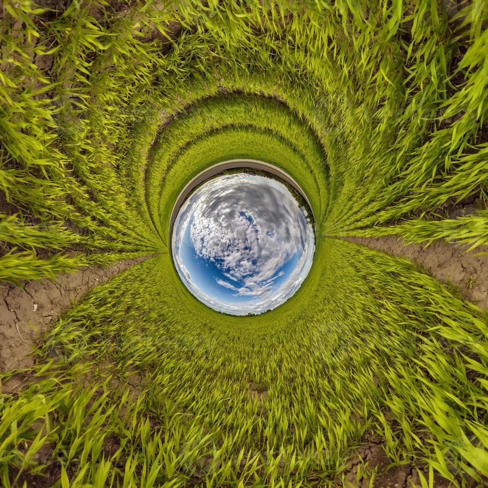 sphère bleue petite planète à l'intérieur de l'arrière-plan du cadre rond de l'herbe verte. photo