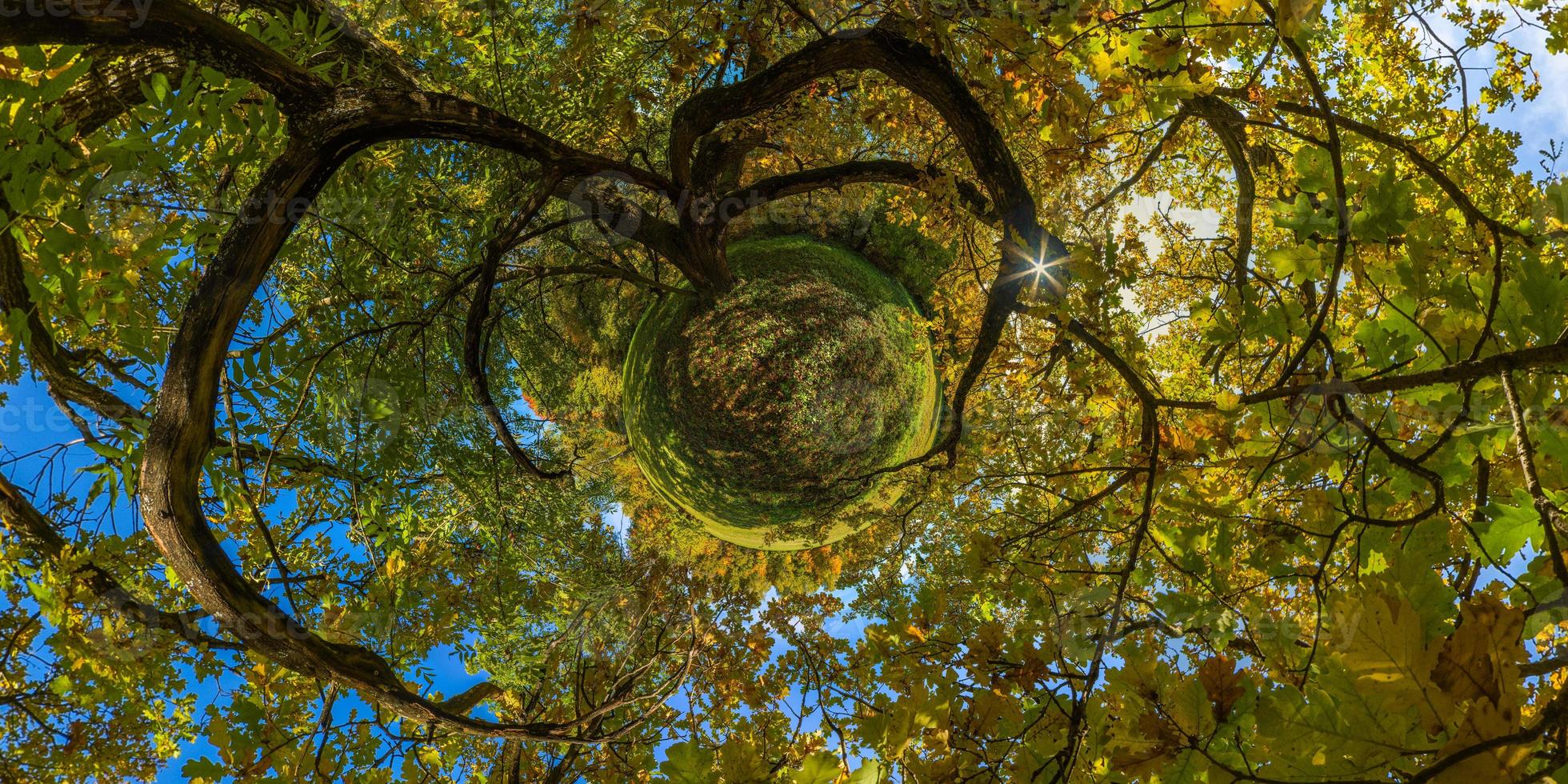 petite planète hyperbolique projection du panorama sphérique sous le chêne jaune à la journée d'automne ensoleillée dans le parc avec ciel bleu et nuages. photo