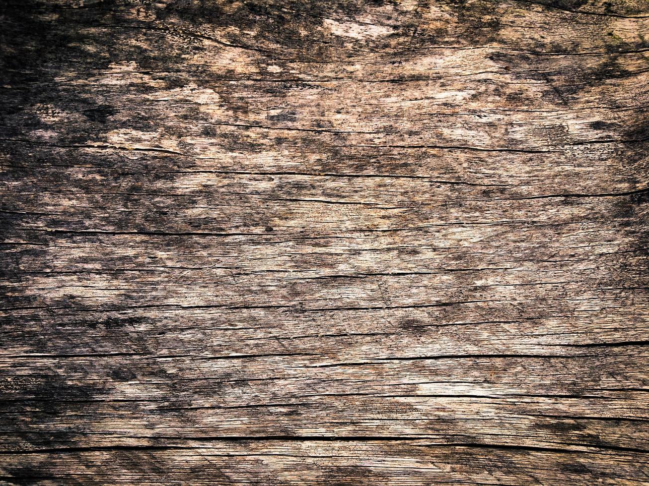 fond d'espace de mur de texture bois pour la conception photo