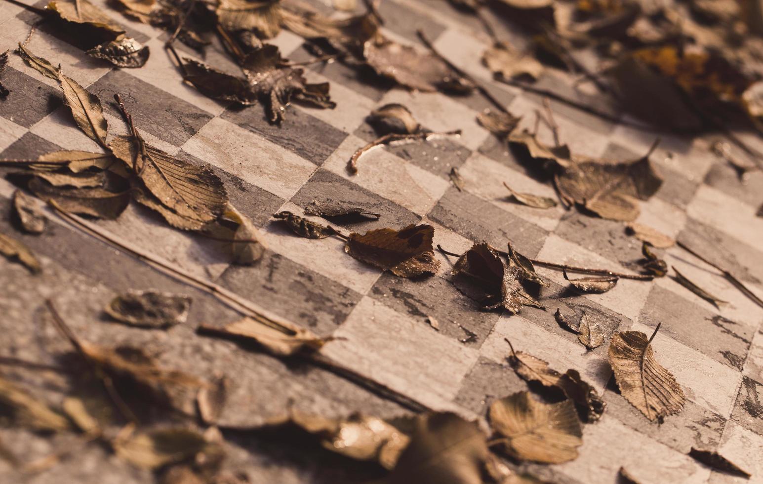 feuilles brunes sur table d'échecs photo