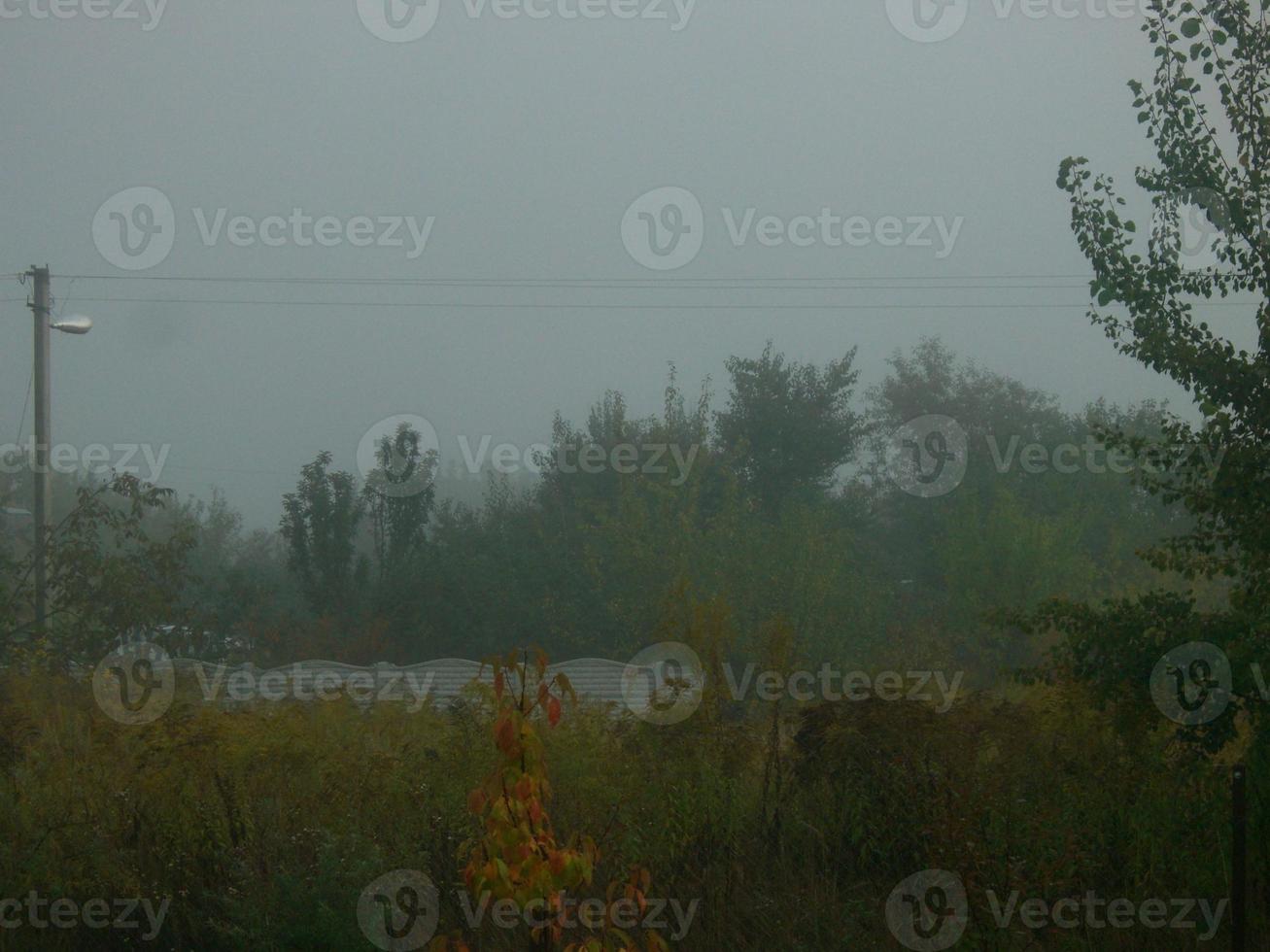 brume matinale d'automne dans le village photo