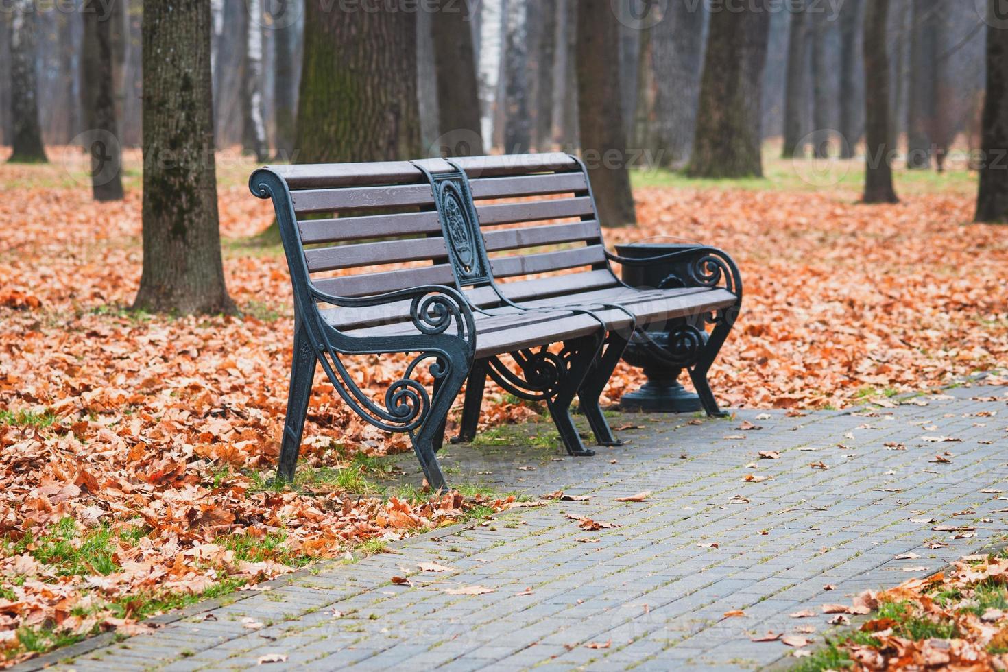 banc vide dans le parc de la ville d'automne, paysage sombre du matin d'automne photo