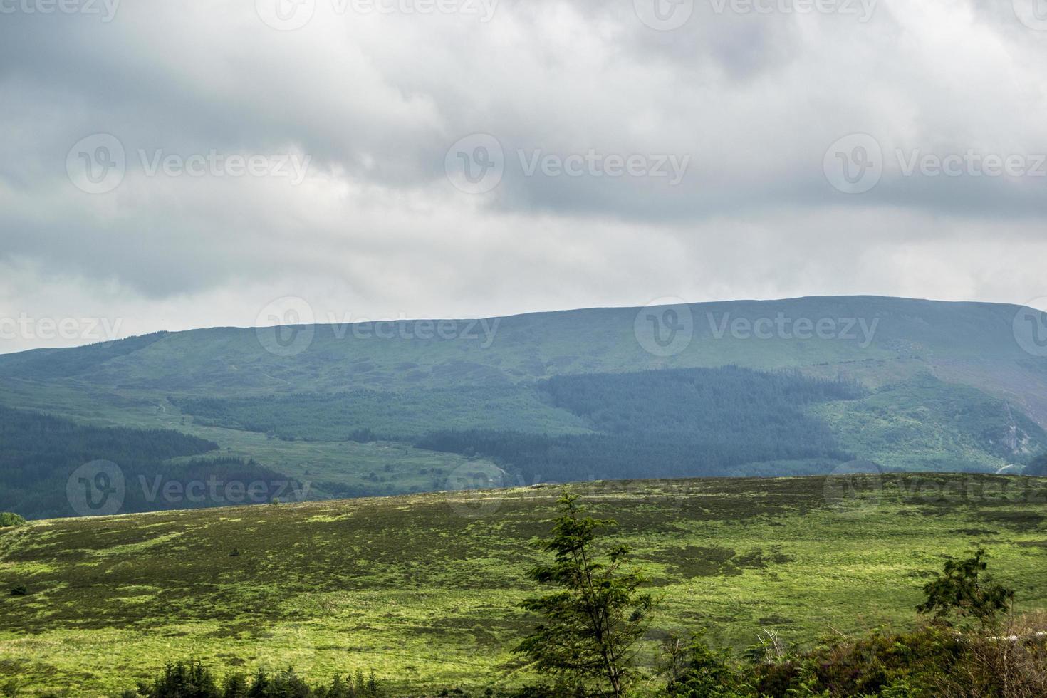 paysage d'été collines et horizon photo