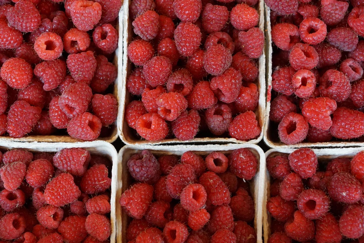 framboises fraîches en boîtes photo