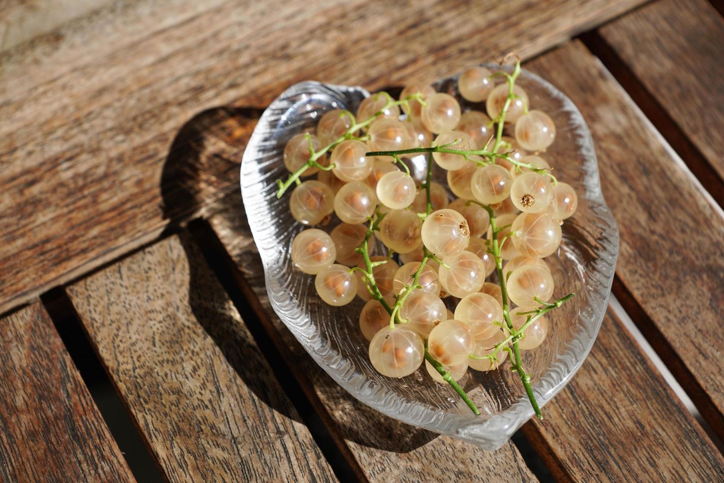 groseilles sur une assiette photo