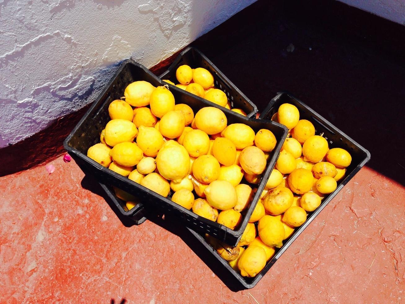 boîtes de citrons photo