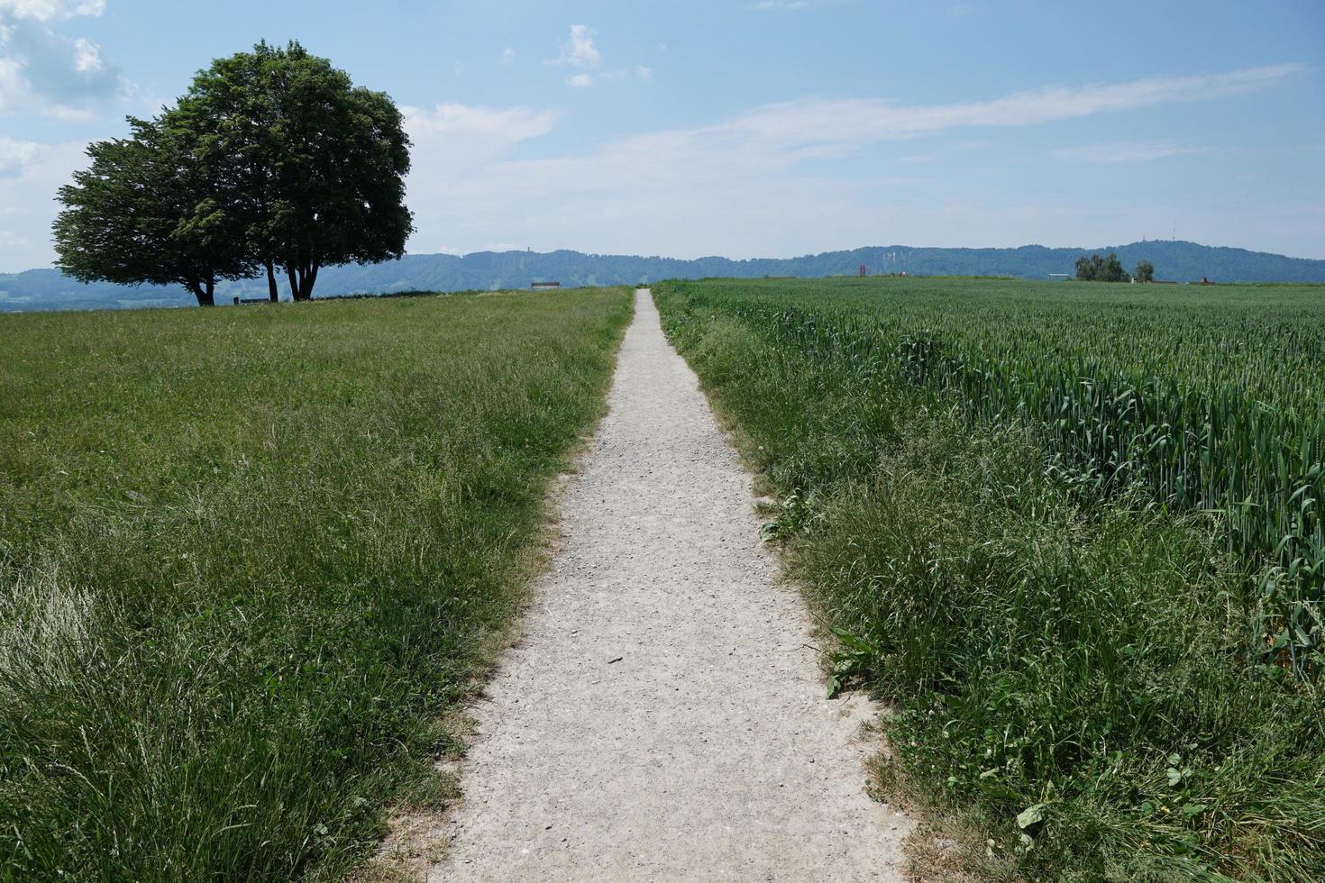 prairie en suisse photo