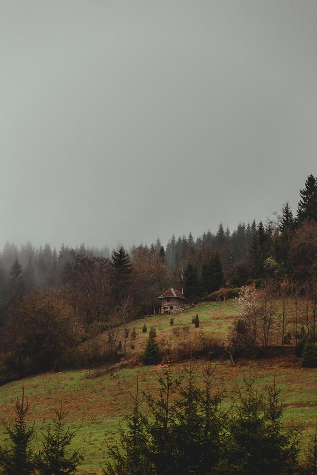 Colline de pâturage nuageux photo