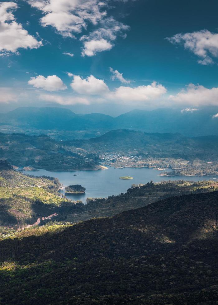 collines verdoyantes près d'un océan photo