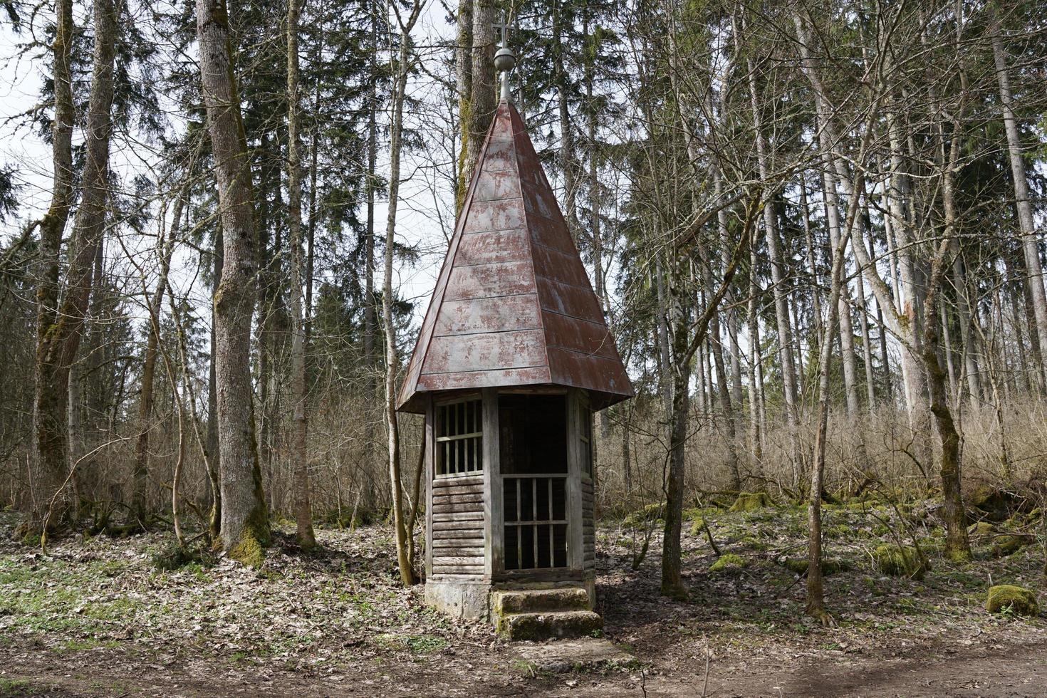 petite cabane dans la forêt photo