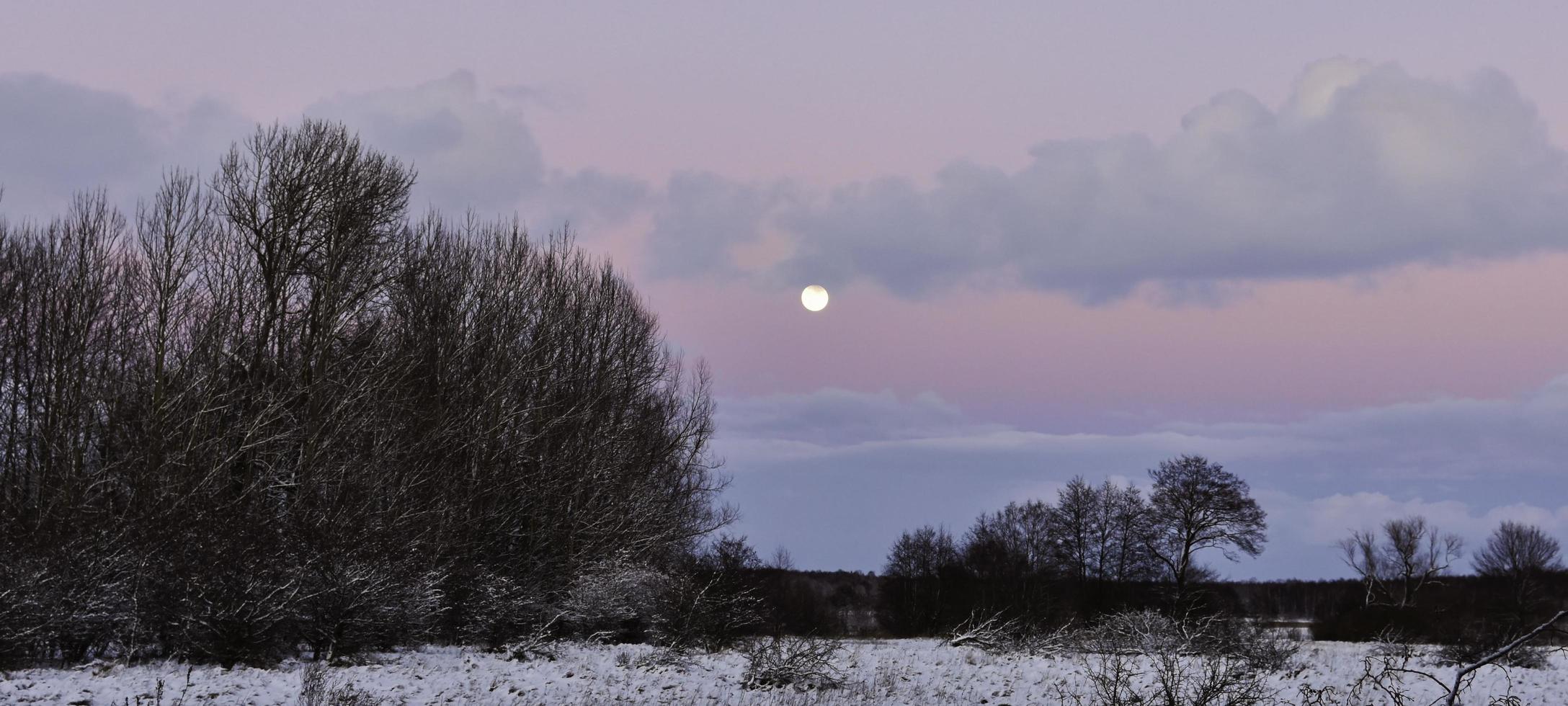 ciel pastel et lune photo