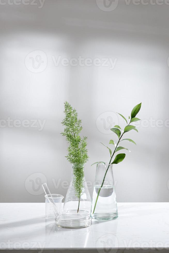 eau claire dans un flacon en verre et un flacon avec un congé vert naturel dans le contexte du laboratoire de sciences de la biotechnologie photo