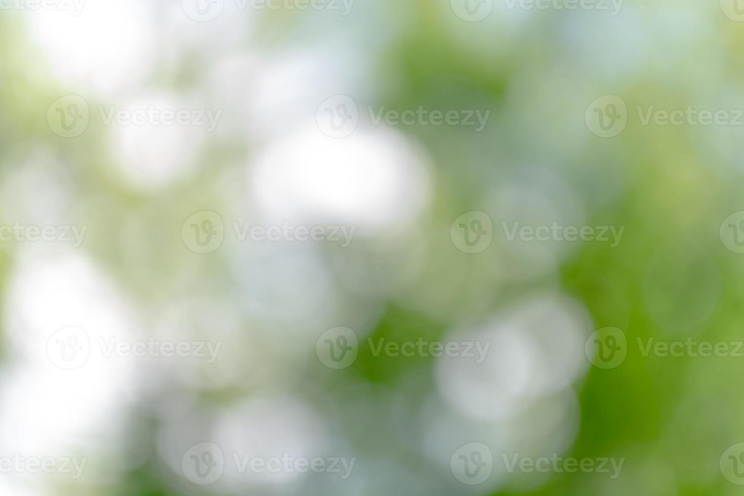 fond vert avec bokeh. abstraction photo