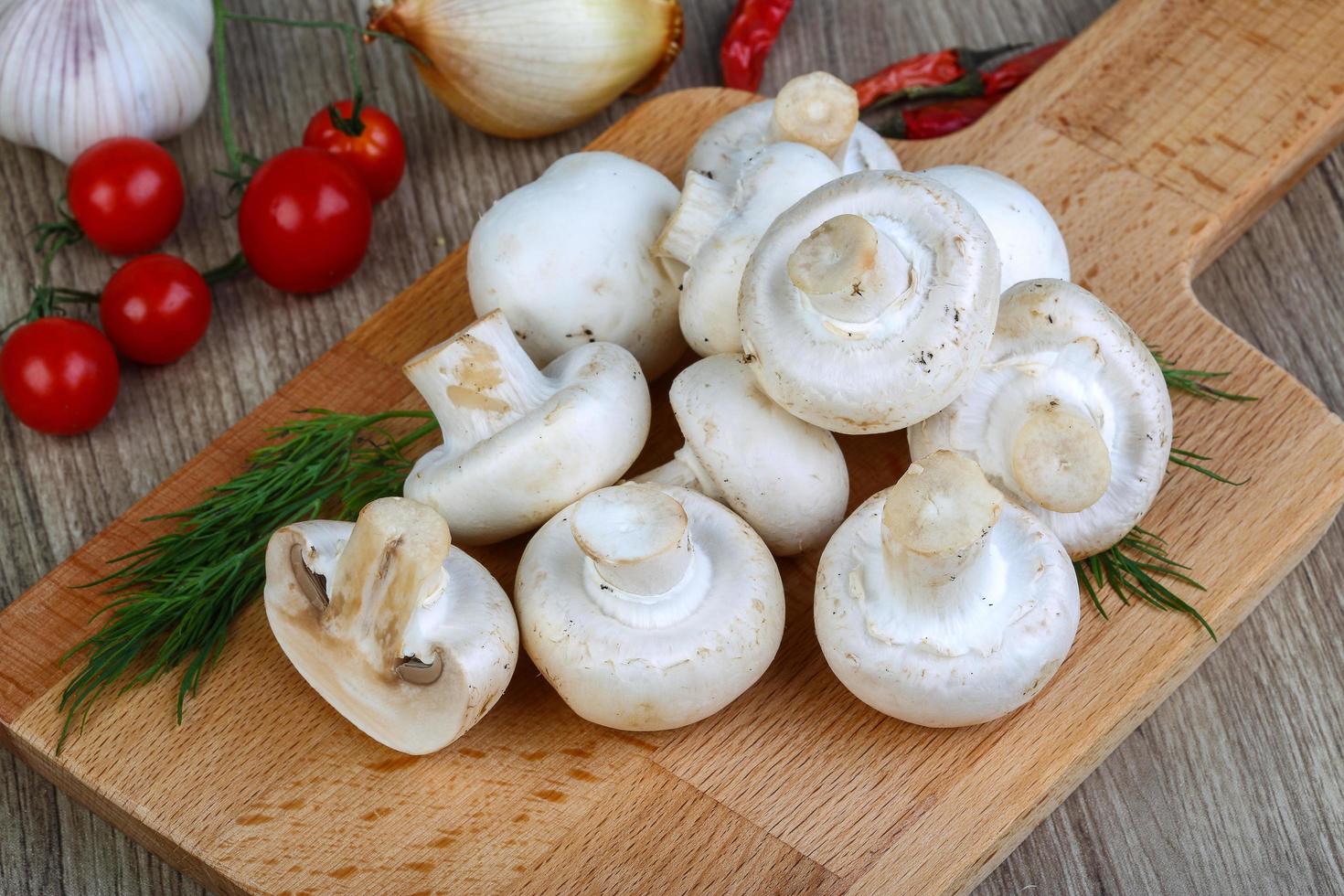 champignons sur bois photo