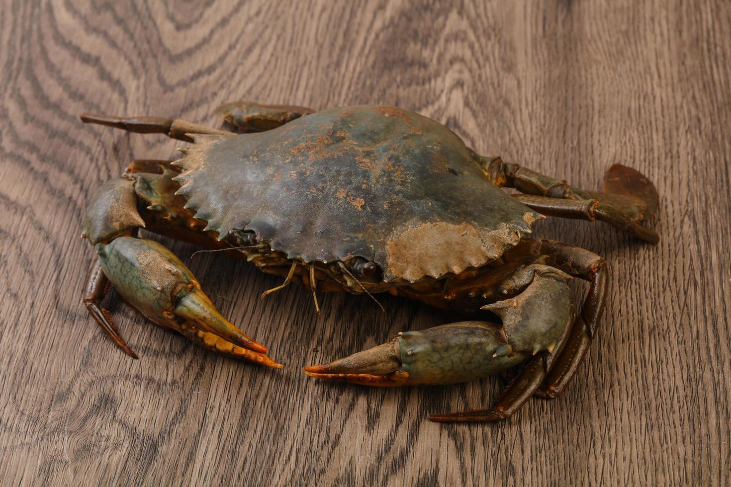 crabe cru sur bois photo