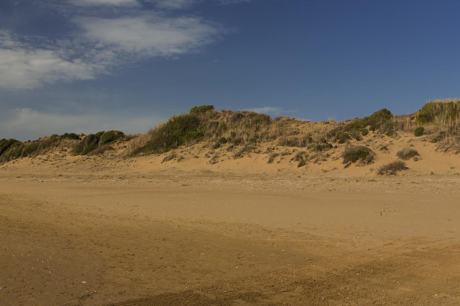 vue sur les dunes du désert photo