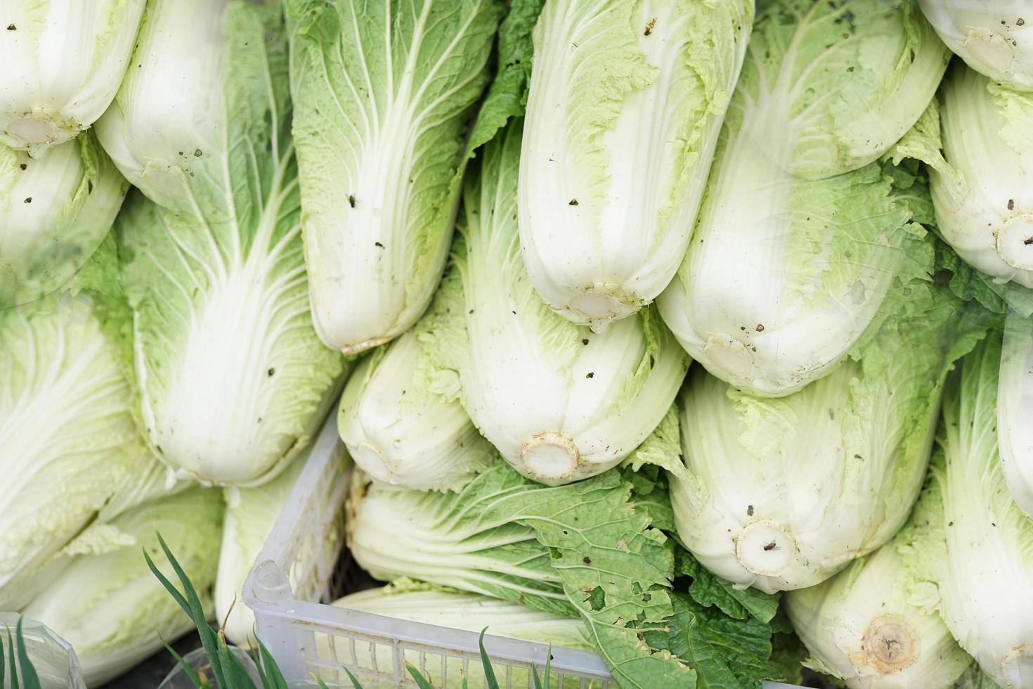 chou chinois sain et frais soigneusement disposé pour la vente sur le marché. fond de légumes sains et frais photo