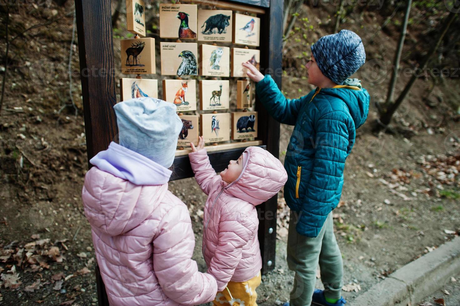 les enfants apprennent les oiseaux sur un bureau en bois au zoo. photo