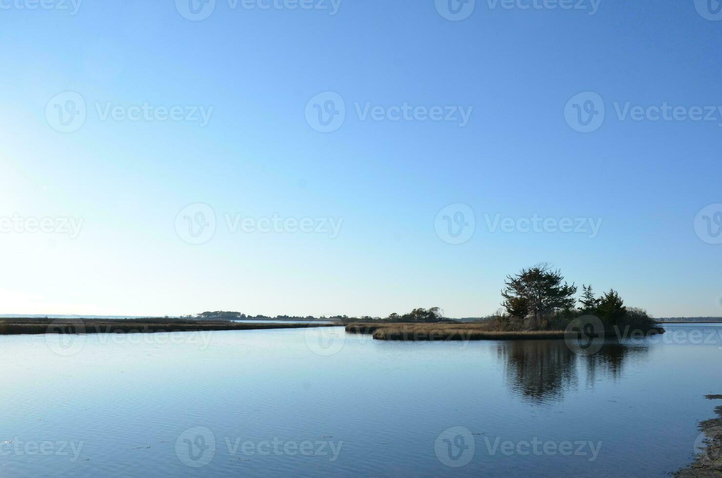 un lac ou une rivière avec des herbes brunes et un rivage photo