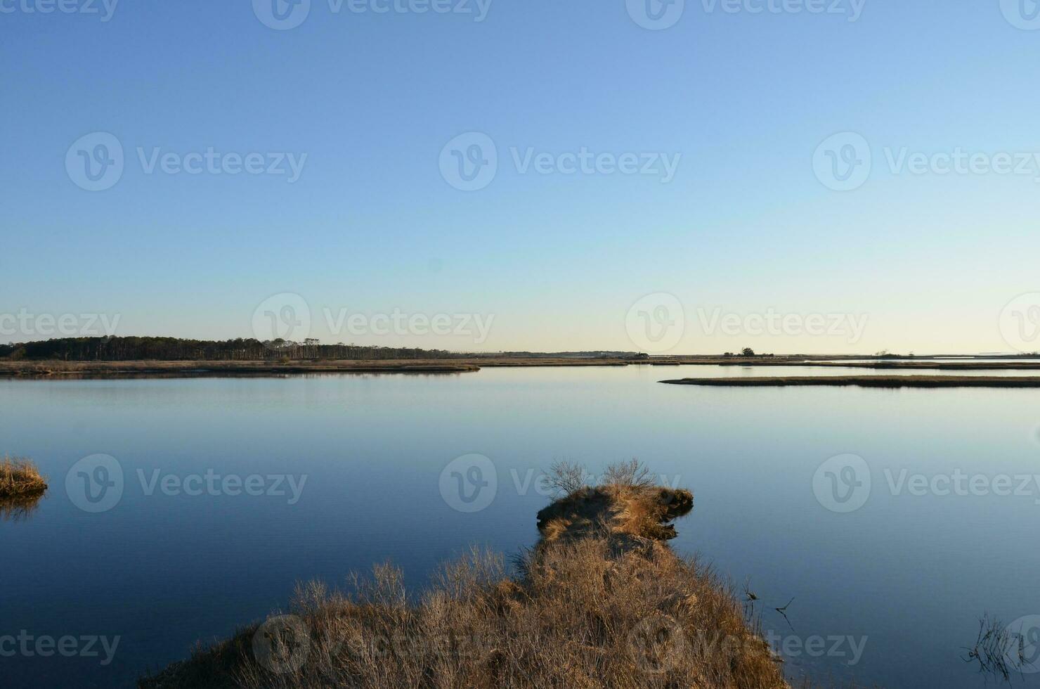 un lac ou une rivière avec des herbes brunes et un rivage photo