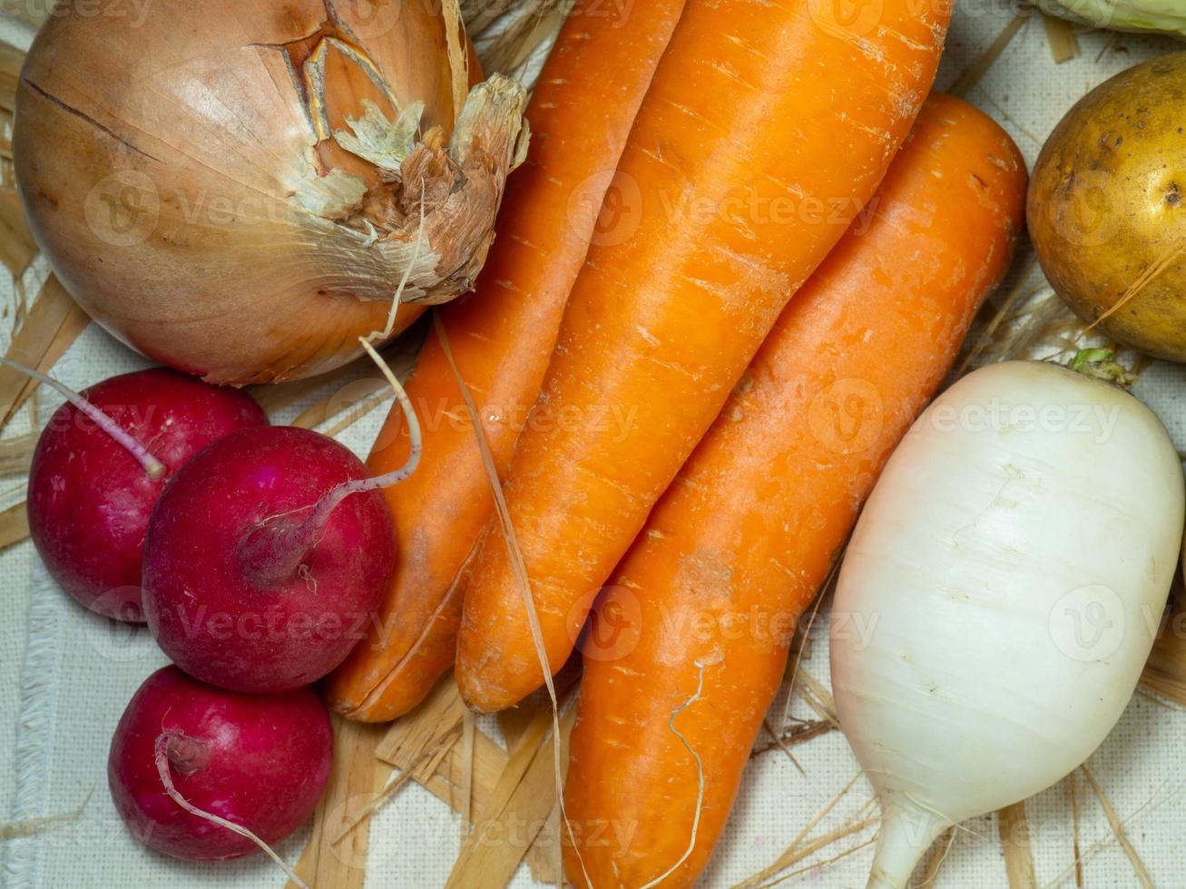 récolte du jardin sur la table. agriculteur. les racines. produits du jardin. nature morte de légumes. nourriture saine. photo