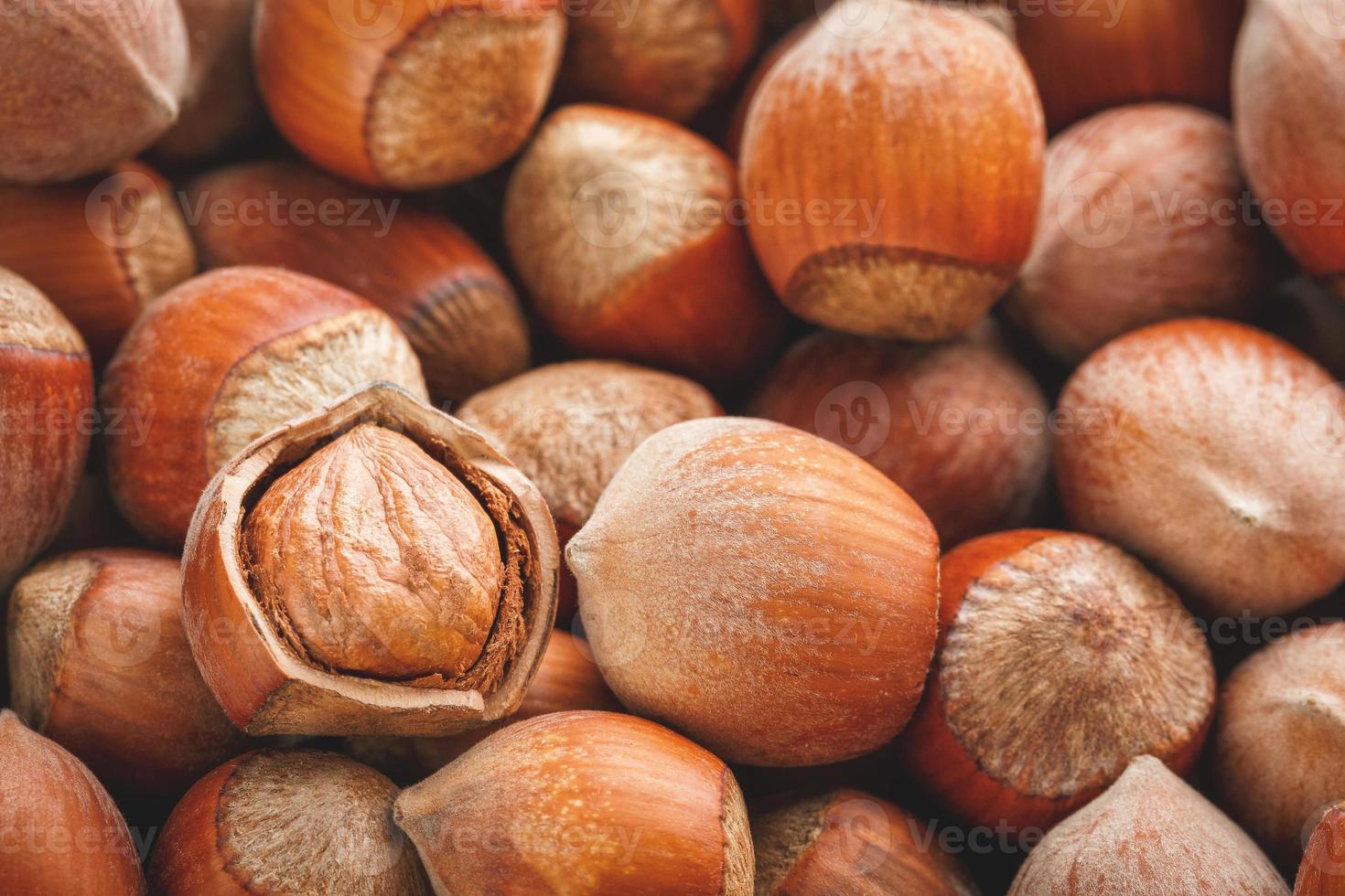 noisettes. pile de noisettes. fond de nourriture. fond noisette. noisettes en fond de coquilles photo