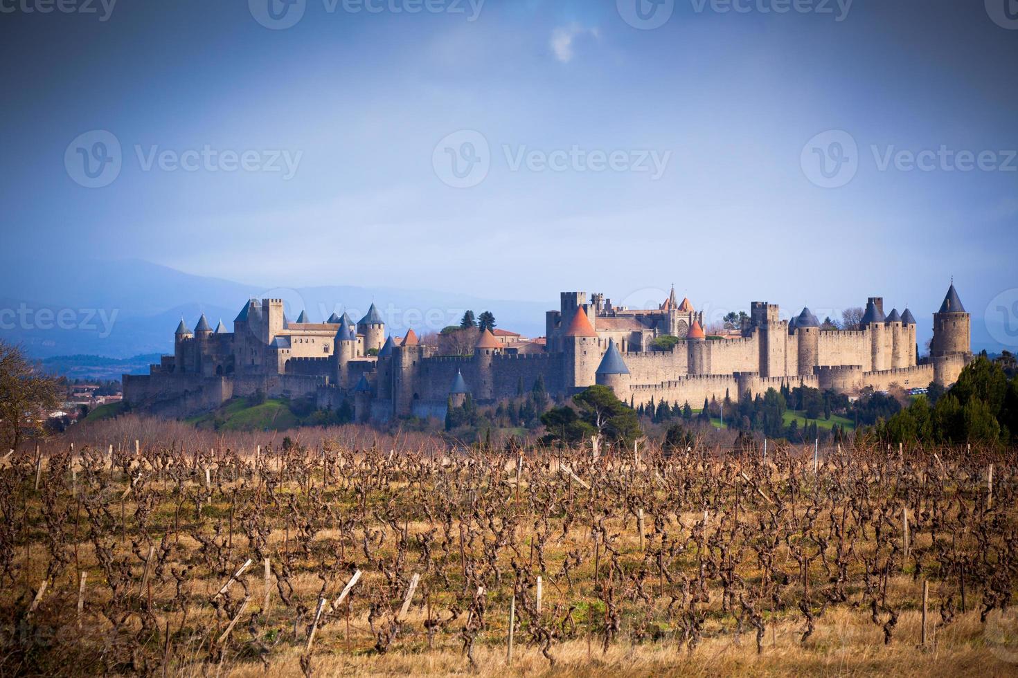 vue sur le château de carcassonne en languedoc-rosellon, france photo