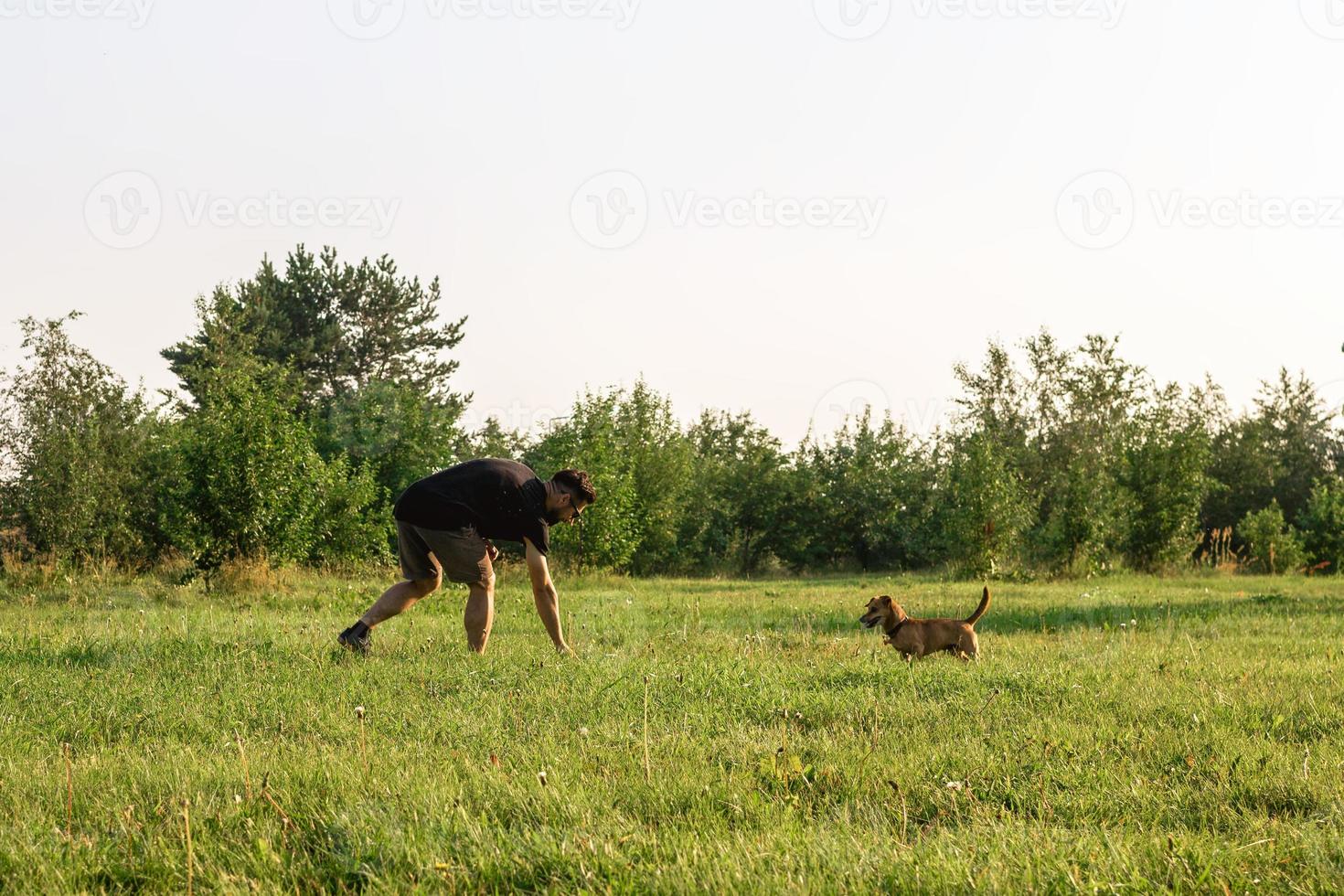 un bel homme souriant lance une balle à son petit chien heureux. les meilleurs amis jouent ensemble dans le parc en été. photo