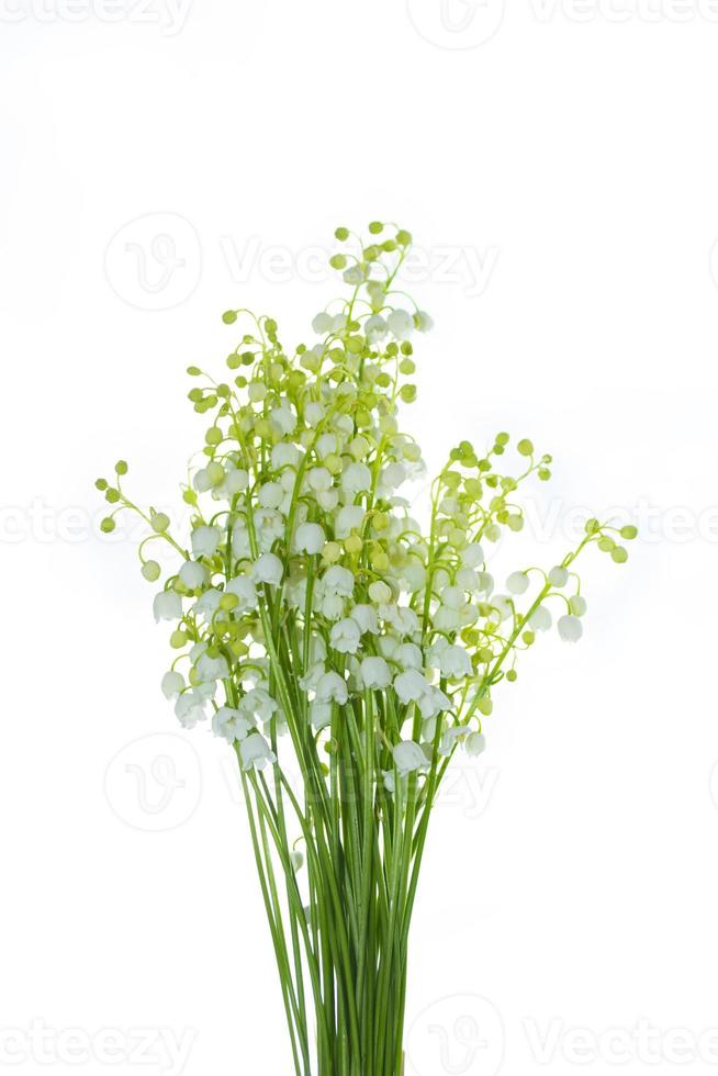 fleur de muguet sur fond blanc. photo