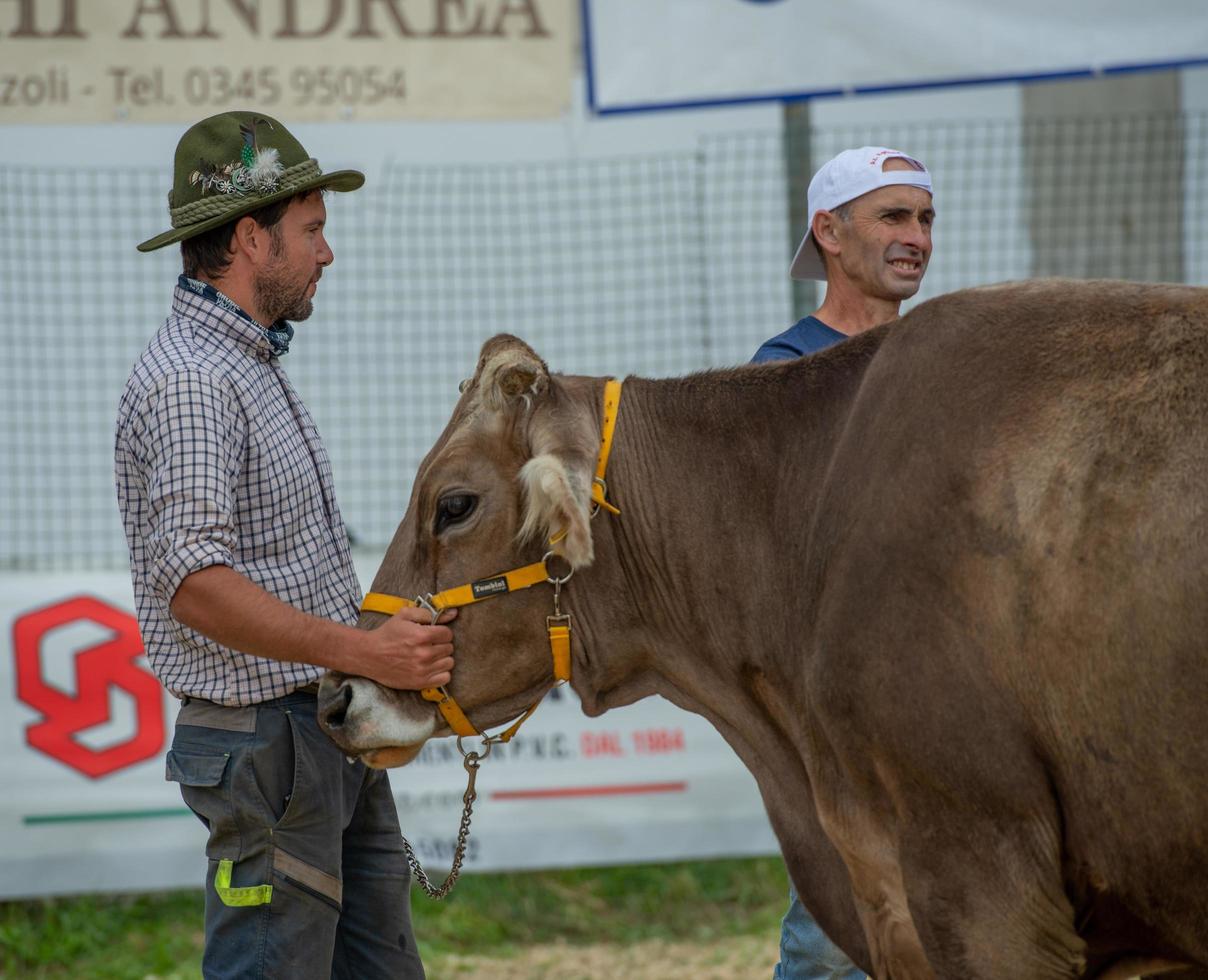 foire du bétail de bergamo italie 2022, le plus grand salon du bétail des vallées de bergame photo