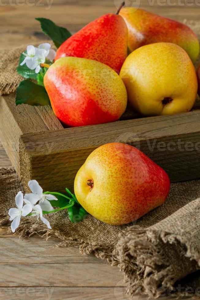 poires mûres. poire biologique récoltée dans une caisse en bois. récolte d'automne. photo