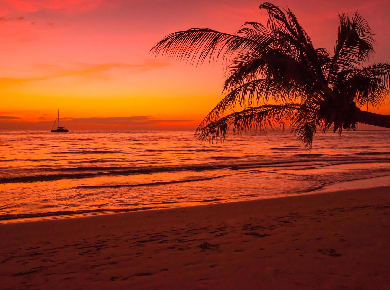 beau coucher de soleil sur la mer avec des palmiers sur la plage tropicale la couleur du ciel orange au-dessus de la mer pour les voyages et les vacances photo