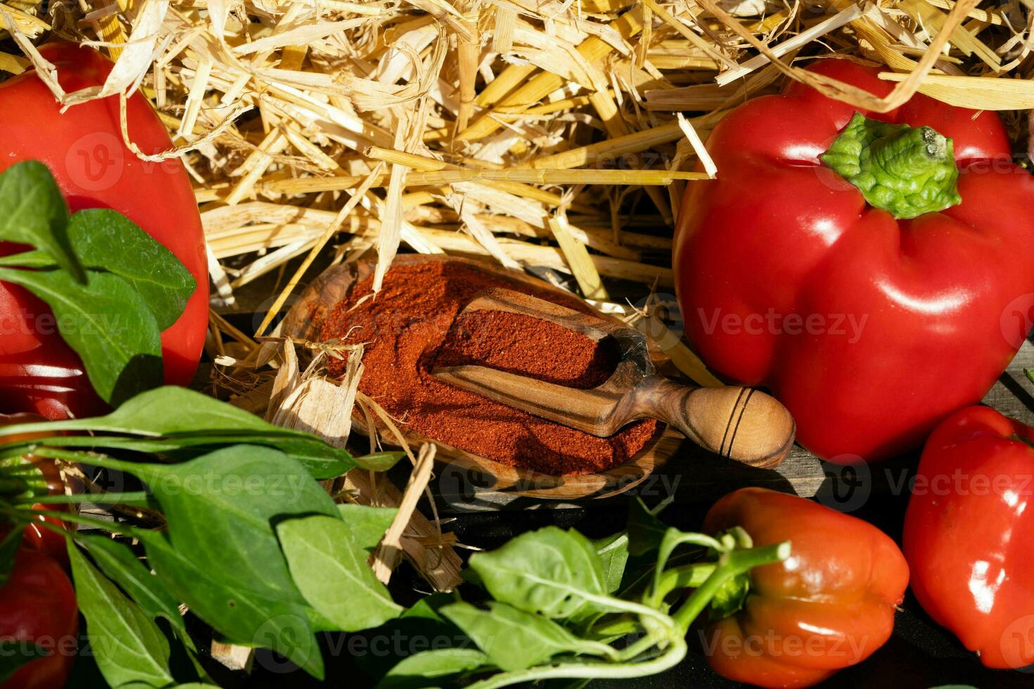 paprika rouge hongrois fumé doux ou épicé photo