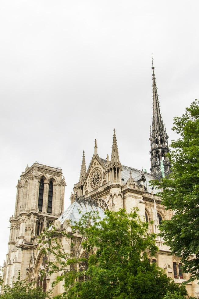 vue sur notre dame photo