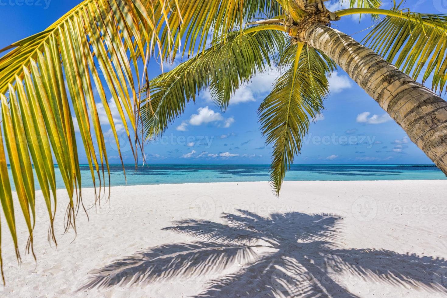 plage ensoleillée de l'île tropicale avec feuilles de palmier, ombres sur le sable blanc, eau de mer turquoise ciel ensoleillé. vacances sur l'île, paysage chaud de la journée d'été. tranquille belle nature paisible, fond de plage photo