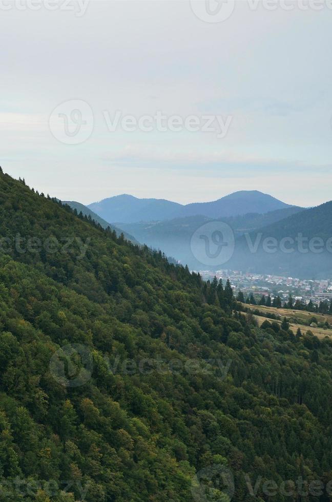 fragment du terrain montagneux des carpates, ukraine. la forêt est pardonnée par les reliefs des carpates photo